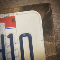 Ohio #14 license plate sign