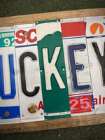 Buckeye License Plate Sign (version green B)