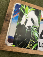I Love the Zoo License Plate Sign (Panda)