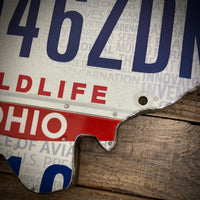 Ohio Cardinal 2 License plate map 046ZDN (Free Shipping)